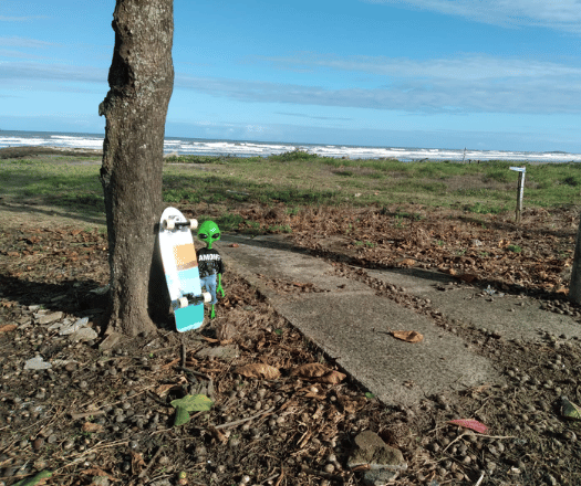 É Surf ou Skate?