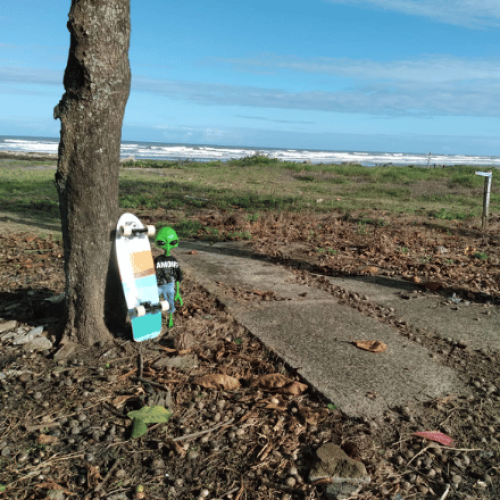 É Surf ou Skate?